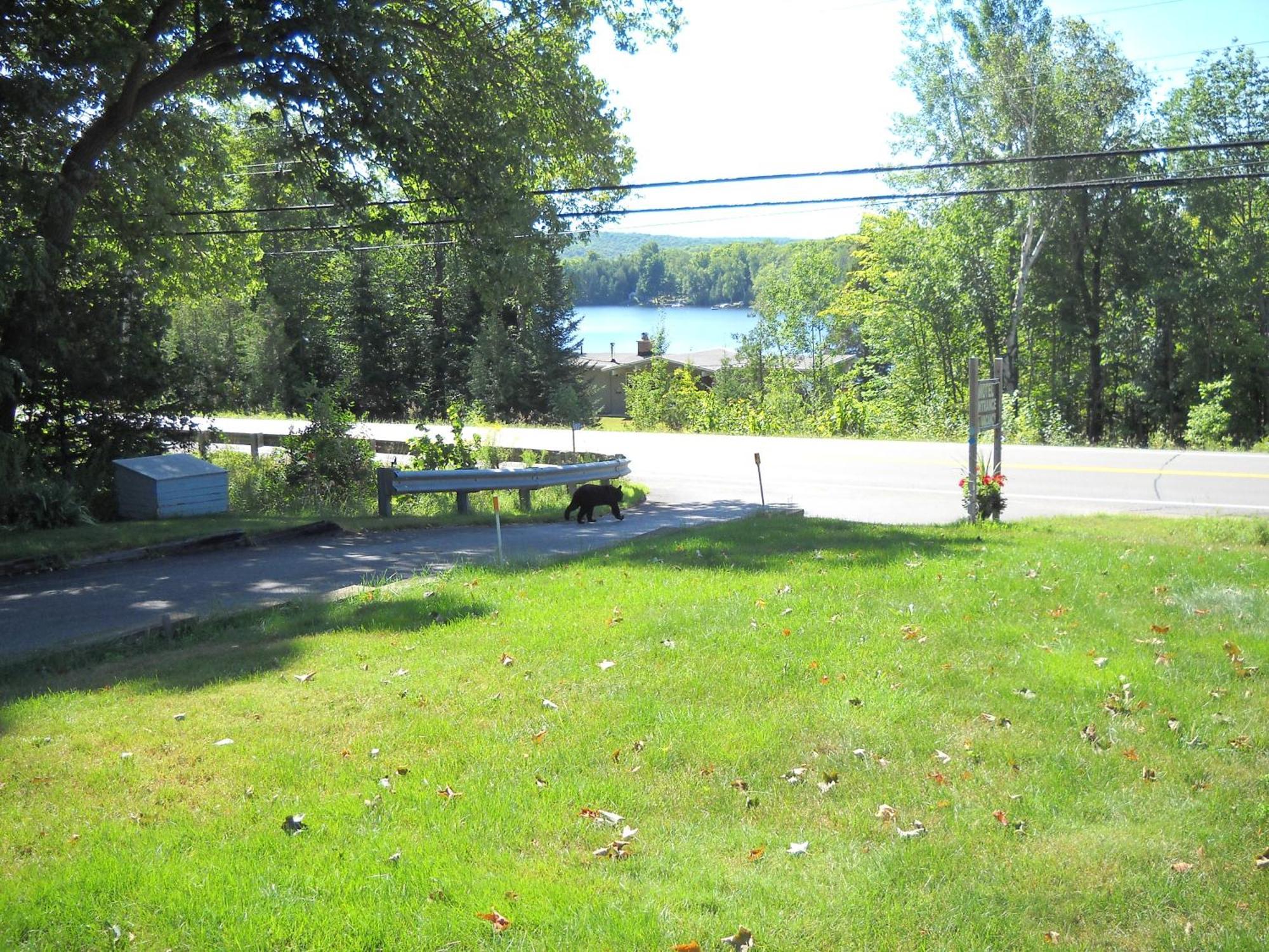 Lakeview Motel Haliburton Buitenkant foto